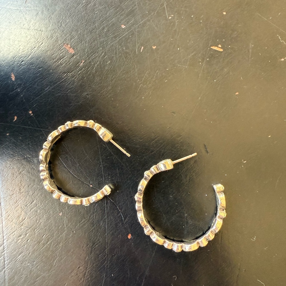 Elegant Gold Hoop Earrings